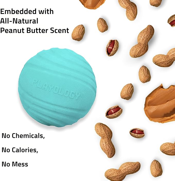 Playology Dog Toys | Dual Layer Ball Durable Chew Toy for Aggressive Chewers | Medium Peanut Butter Scented Toy - Easy to Clean and Made from Non Toxic Materials