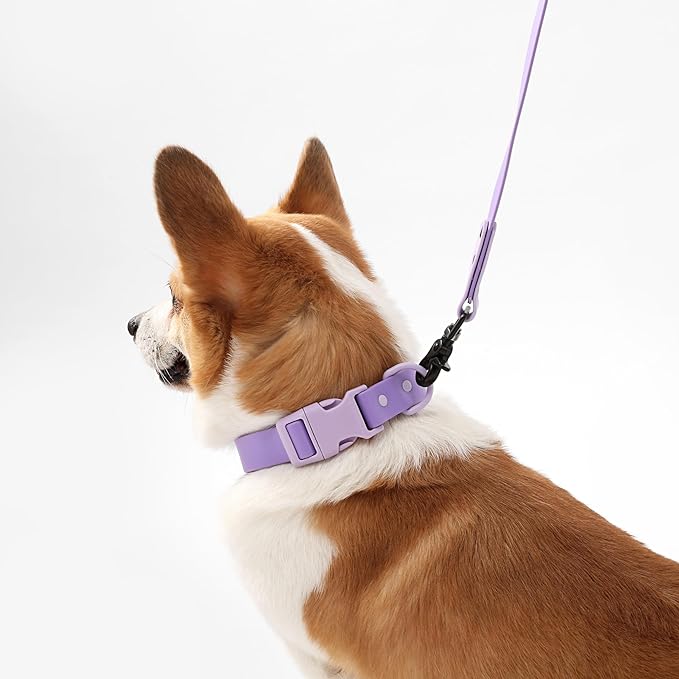 WLK1005H-5SET Luna Medium 8FT Adjustable 6-in-1 Waterproof Hands-Free Leash and Collar with LED Flashlight, Bag Dispenser, and Poop Bag Holder, Bramble