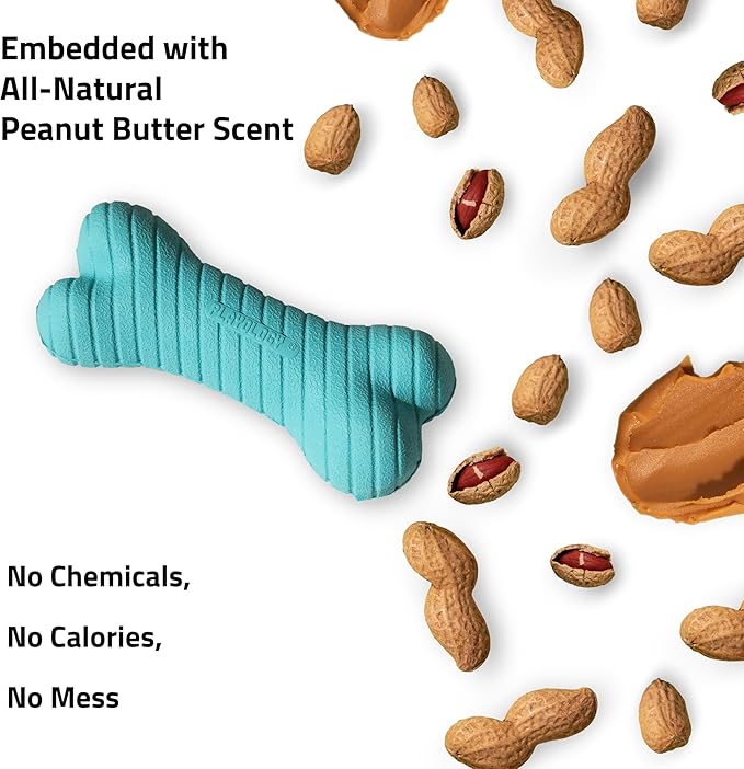 Playology Dog Toys | Dual Layer Bone Durable Chew Toy Bone for Dogs (Value 2-Pack) | Small Peanut Butter Scented Toy - Easy to Clean and Made from Non Toxic Materials