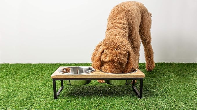 Mango Wood Dog Bowl Stand - Elevated Pet Feeder with 2 Stainless Steel Bowls - Raised Food and Water Dish Set for Dogs and Cats, Available in 4 Sizes, Pet Dining Station, Small/10oz