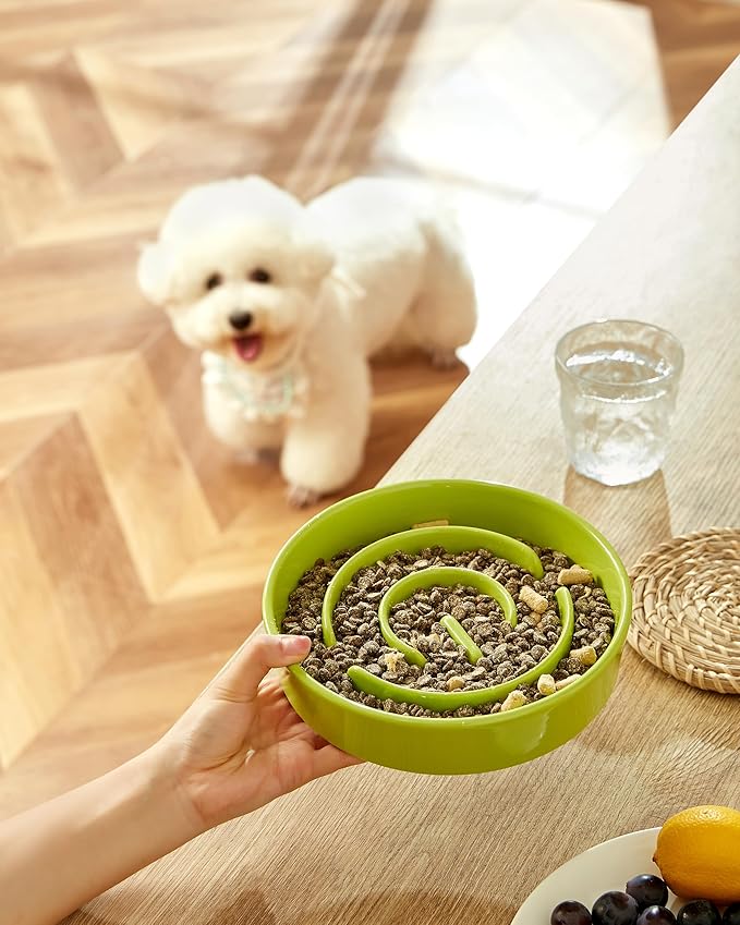 Ceramic Slow Feeder Dog Bowls, 2.0 Cups Slow Feeder for Medium and Large Dogs, Puzzle Maze Bowl to Slow Down Eating, 30oz, 8in, Green