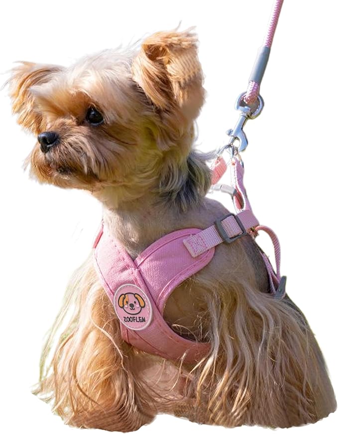 Dog Harness with Leash Set, Puppy Soft Vest No Choke No Pull, Adjustable Neck and Chest, Lightweight Harness and Anti-Twist Pet Leash Combo for Small to Medium Dogs (Pink, L-Large)