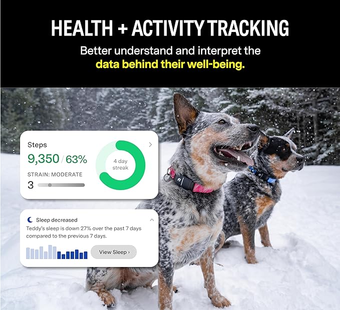 Fi Series 3 Smart Dog Collar - GPS Dog Tracker and Activity & Health Monitor, Waterproof, LED Light, Escape Alerts, Nationwide Coverage [Free 1 Year Membership] (Yellow, Small)