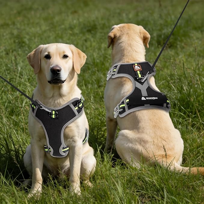 Dog Harness, No Pull Pet Vest Reflective Strip Escape Proof, Easy to Adjust Dog Harness with Escape Proof Function Suitable for Walking, Traveling and Training, Black, M