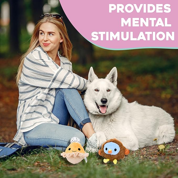 Flourish Pets 2 in 1 Multi-Layer Chew Toy for Active Dogs | Non-Toxic BPA Free Double Stitched Soft Fabric Exterior Dog Toys | Long-Lasting Dog Plush Toys – Turkey + Pumpkin (4”)