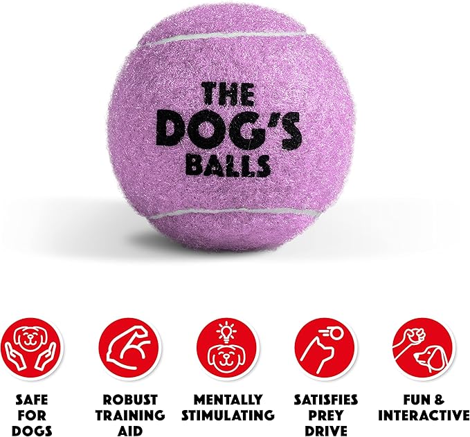 The Dog's Balls, Dog Tennis Ball, Lilac 12-Pack, Strong Toy for Agility Training, Puppy Training, Play, Exercise & Fetch, 2.5 Inch Diameter