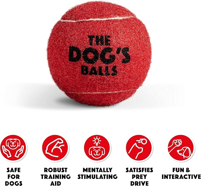 The Dog's Balls, Dog Tennis Ball, Red 12-Pack, Strong Toy for Agility Training, Puppy Training, Play, Exercise & Fetch, 2.5 Inch Diameter