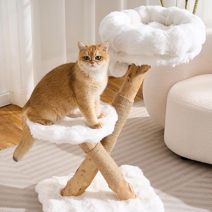 Natural Wood Cat Tree for Indoor Cats Adults, 33in Modern Cat Tree Tower with Super Soft Plush Cat Bed & Perch, Sisal Scratching Posts and Hanging Plush Ball, Ivory White