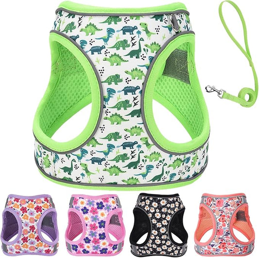 Small Dog Harness and Leash Set, Step in Dog Harness No Pull for Walking Running Training, Puppy Essentials for Dogs Cat Bunny, Adjustable Reflective Dog Vest Harness. (Green, S)