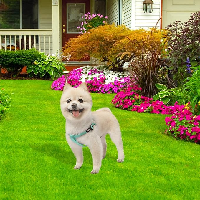 PUPTECK No Pull Dog Harness Soft Adjustable Basic Nylon Step in Puppy Vest Outdoor Walking with ID Tag