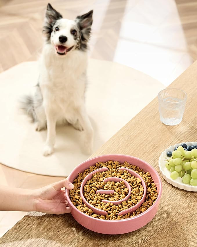 Ceramic Slow Feeder Bowls for Large Dogs, 3.0 Cups Slow Feeder for Fast Eaters, 48oz, 10in, Pink