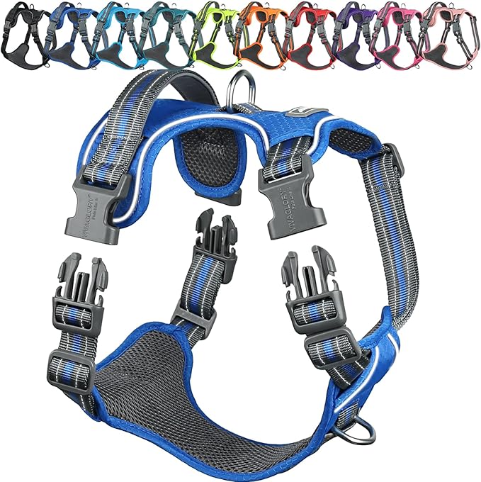 VIVAGLORY Dog Harness Easewalk No Pull Dog Harness with Handle & Front Back Clip for Training Lifting, Easy On Adjustable Padded No Pull for Pet & Puppy, M, Royal Blue