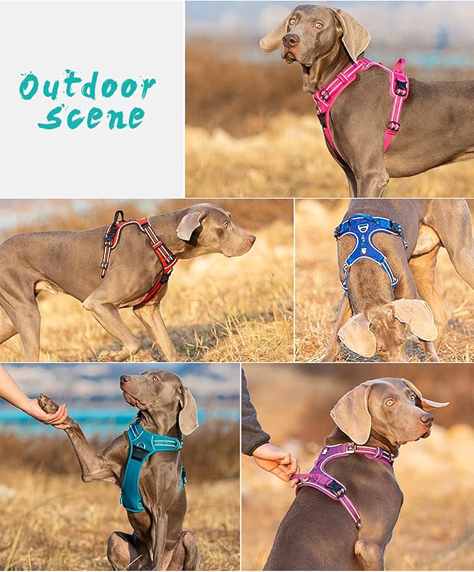 TRUE LOVE Dog Harness No Pull Nylon Reflective Pet Harness Adjustable Comfortable Control Step-in Brilliant Colors Truelove TLH56512 XL
