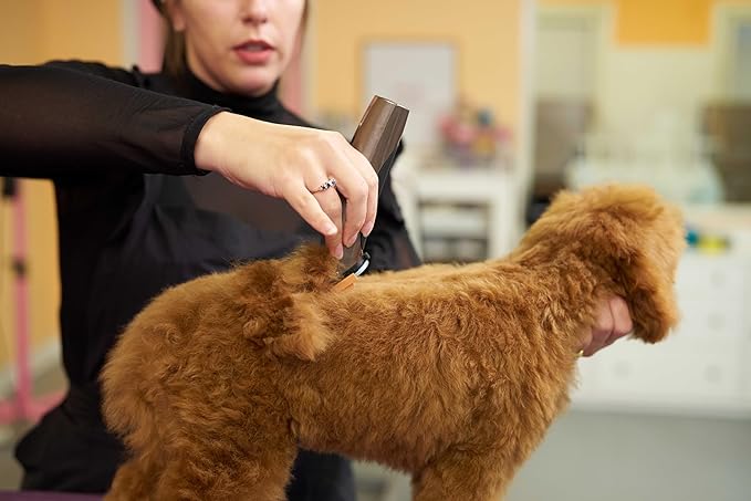 Wahl Professional Animal Bravura Pet, Dog, Cat, and Horse Corded/Cordless Clipper Kit, Gunmetal (#41870-0425)