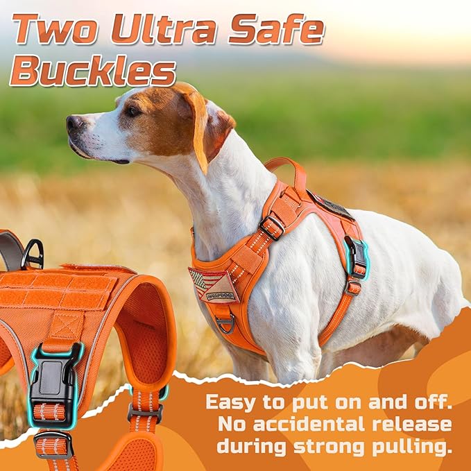 rabbitgoo Tactical Dog Harness for Large Dogs, No Pull Military Service Vest with Handle & Molle, Easy Control for Training Walking, Adjustable Reflective Straps, Orange, L