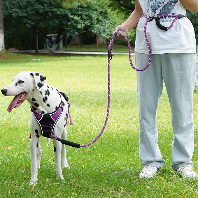 Cymiler Hands Free Dog Leash, 8 Ft Reflective Cross-Body Pet Rope Leashes with Sponge Handle, Heavy Duty Nylon, for Running, Hiking, Training, Waist Leash for Small Medium Large Dogs (Purple)