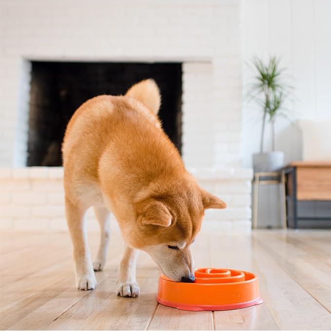 Outward Hound Medium Slow Feeder Bowl, Puzzle Maze for Fast Eaters, Small to Medium Dogs, Helps Prevent Bloat & Aid Digestion, Holds 2 Cups Wet or Dry Food, Non-Slip, Made Without BPA, Orange