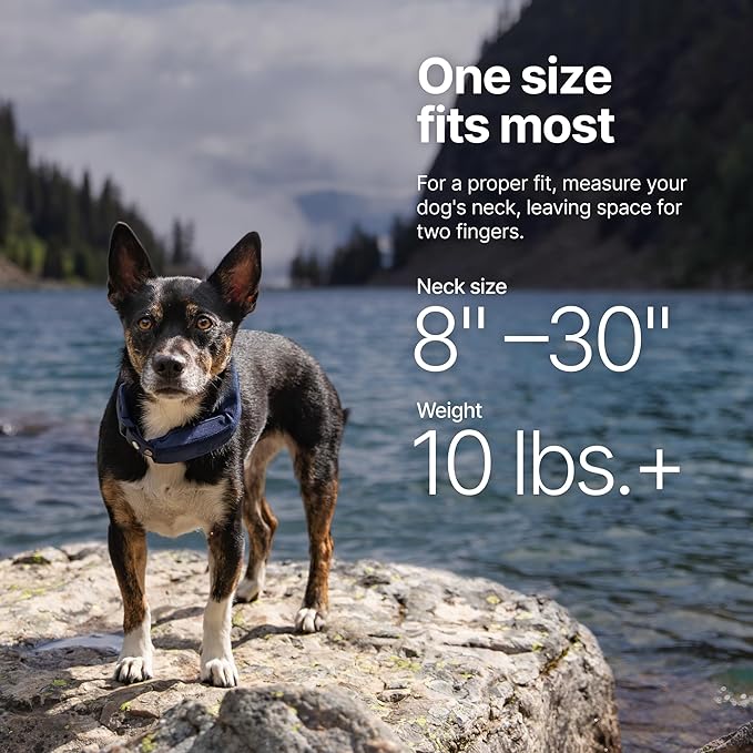 Halo Collar 5, New Wireless Dog Fence & GPS Dog Collar, Subscription Required, Waterproof, Blaze, One Size