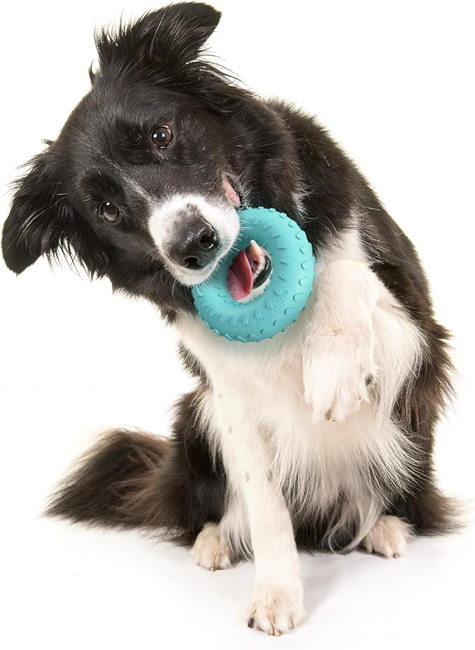Playology Dog Toys | Dual Layer Ring Durable Chew Toy for Aggressive Chewers | Medium Peanut Butter Scented Toy - Easy to Clean and Made from Non Toxic Materials