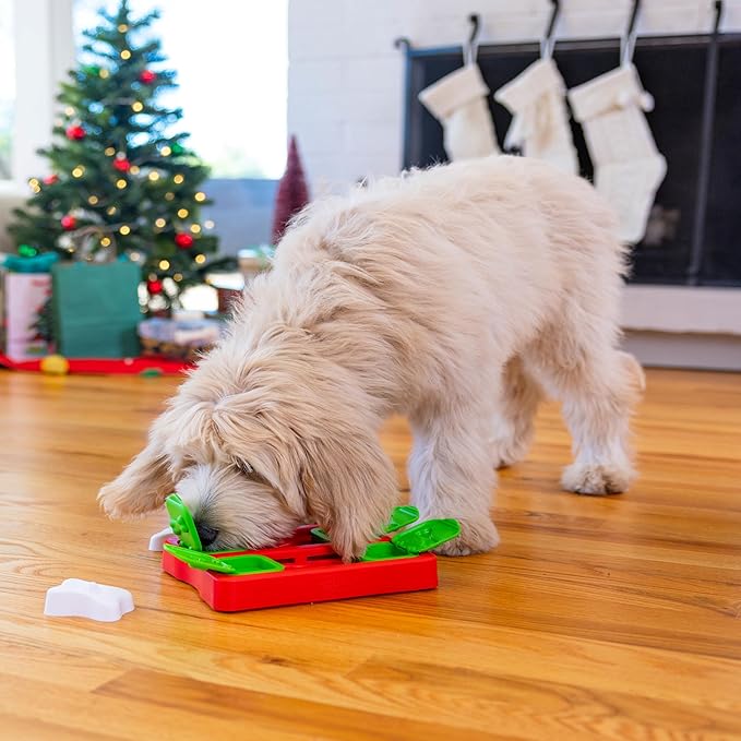 Outward Hound by Nina Ottosson Holiday Dog Brick Treat Puzzle Dog Toy, Level 2 Intermediate, Red, Small (Pack of 2)