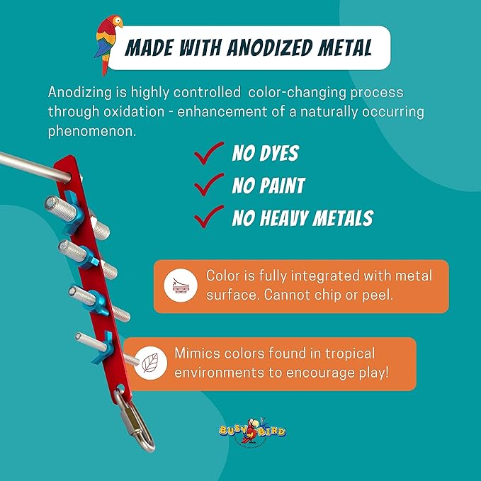 Strip Bird Foraging Toy | Non-Removable Wing Nuts | Durable Puzzle Enrichment Toy | Mind Game | Bird Cage Accessories for Medium to Large Birds Like Cockatoos, Parrots, Macaws, Greys, Parakeets