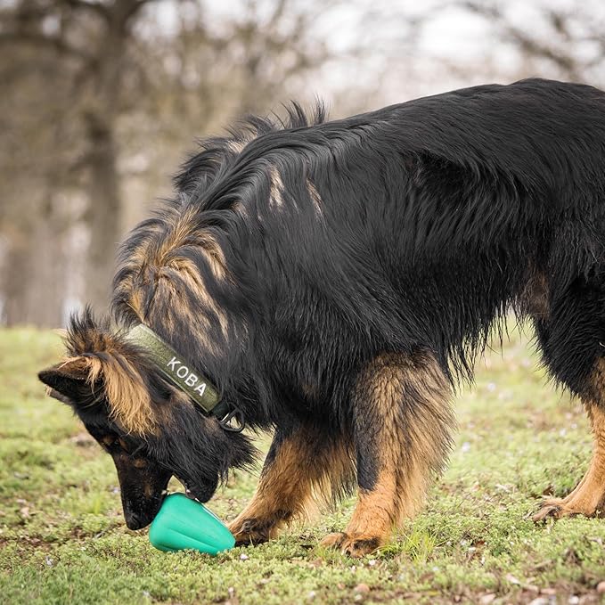 Chew King Premium Treat Dog Toy, Extremely Durable Natural Rubber Toy, Bacon Flavored Dog Toy