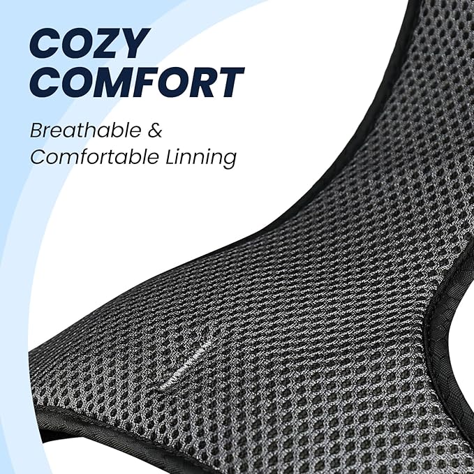 VIVAGLORY Dog Harness Easewalk No Pull Dog Harness with Handle & Front Back Clip for Training Lifting, Easy On Adjustable Padded No Pull for Pet & Puppy, XS, Black