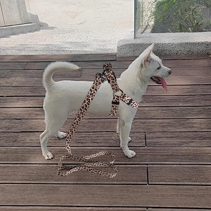 QQPETS Dog Harness Leash Set Adjustable Heavy Duty No Pull Halter Harnesses for Small Medium Large Breed Dogs Back Clip Anti-Twist Perfect for Walking