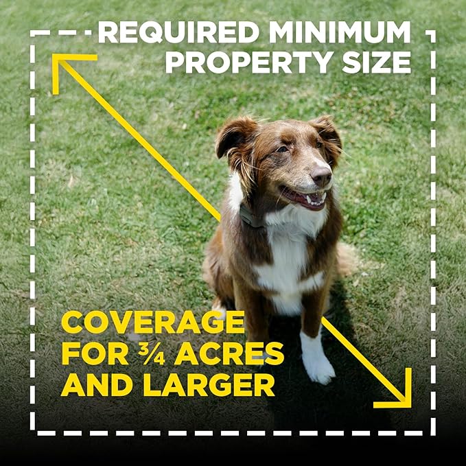 Dogtra Training Flags for GPS Fence – 50-Pack Neon Orange Boundary Markers – Flexible, Weather-Resistant Yard Flags for Invisible Fence Training, Pet Containment, and Safe Outdoor Dog Fence Setup