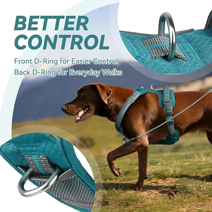 VIVAGLORY Dog Harness Easewalk No Pull Dog Harness with Handle & Front Back Clip for Training Lifting, Easy On Adjustable Padded No Pull for Pet & Puppy, XL, Hunter Teal