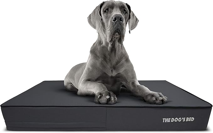 The Dog’s Bed Orthopedic Memory Foam Dog Bed, XXL Grey & Black, Waterproof, Supportive Dog Bed with Replaceable Covers, Veterinary Approved