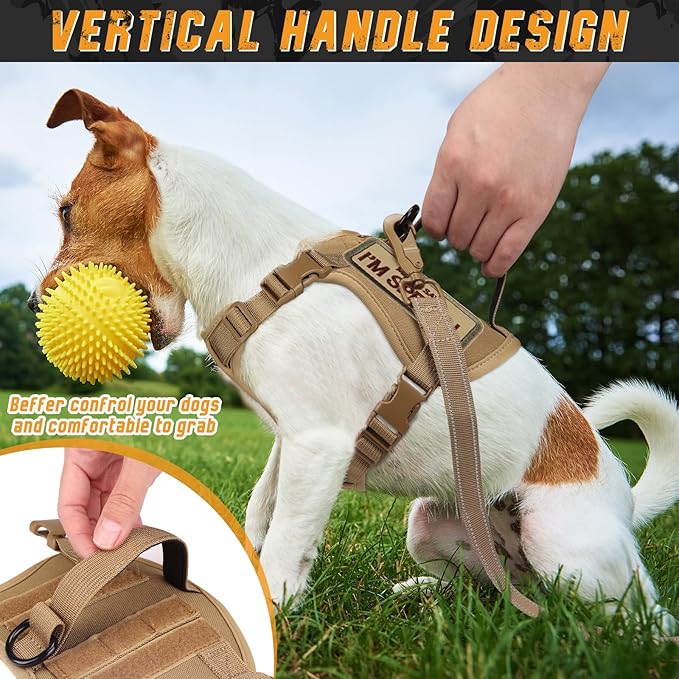 Tactical Dog Harness for Small Dogs, Military Puppy Vest Harness and Leash for Outdoor Training, Adjustable Service Dog Vest with Handle, 3 Patches