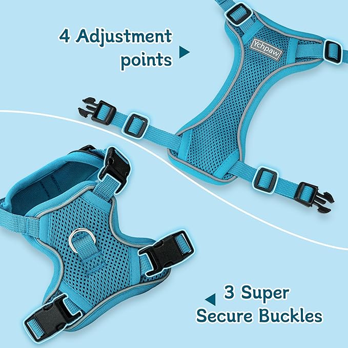 Small Dog Harness and Leash Set, Reflective Soft Breathable Mesh Vest, 3 Buckles, Adjustable Neck and Chest,Step in Dog Harness for Walking, Running, Training, Turquoise, S