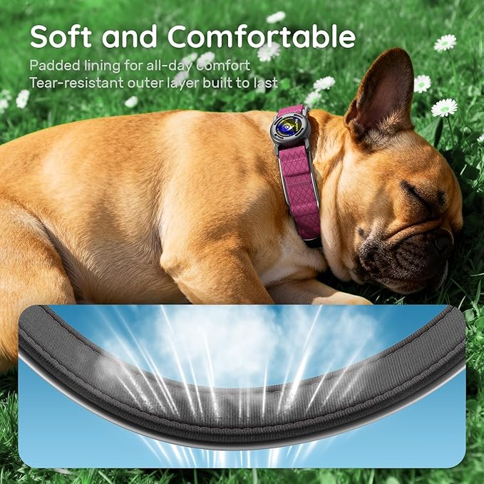 AirTag Dog Collar with QR Code ID & Waterproof Holder - Reflective, Durable Padded Oxford Collar Compatible with Apple AirTags for Medium Dogs (Rose Red, M)