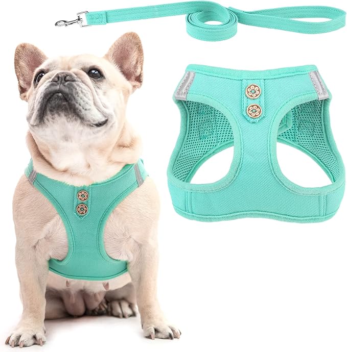 PUPTECK Dog Harness and Leash Set for Small Medium Dogs No Pull Step-in Soft Mesh Puppy Cat Vest Harnesses Reflective at Night, Denim Green S