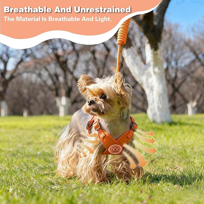 Dog Harness with Leash Set, Puppy Soft Vest No Choke No Pull, Adjustable Neck and Chest, Lightweight Harness and Anti-Twist Pet Leash Combo for Small to Medium Dogs (Orange, L-Large)