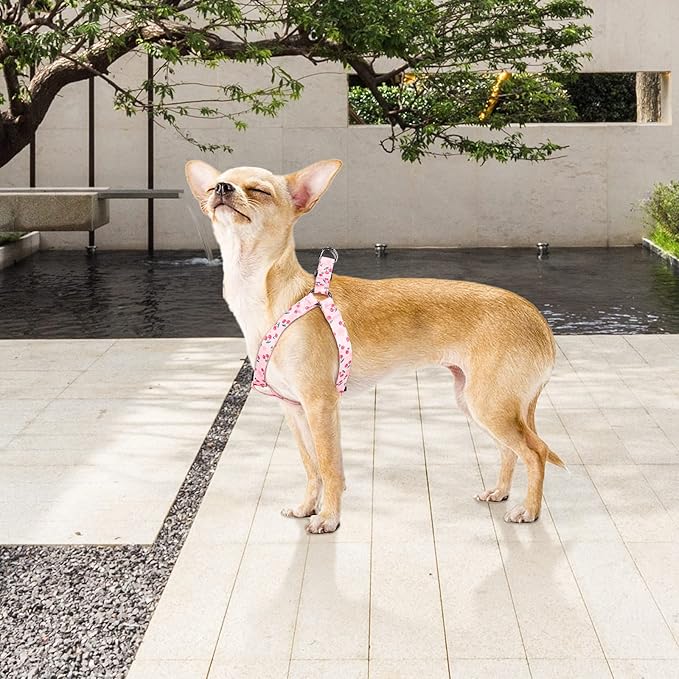 QQPETS Dog Harness Leash Set Adjustable Heavy Duty No Pull Halter Harnesses for Small Medium Large Breed Dogs Back Clip Anti-Twist Perfect for Walking (S(14"-20" Chest Girth), Sakura Pink)