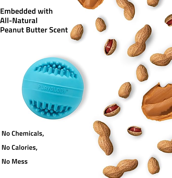 Playology Dog Toys | Dental Chew Ball Gentle on Gums | Jumbo Peanut Butter Scented Toy - Easy to Clean and Made from Non Toxic Materials