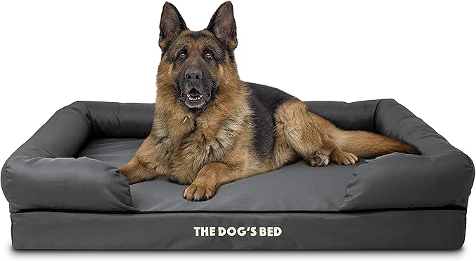 The Dog’s Bed XL Grey, Memory Foam, Pain Relief: Arthritis, Hip & Elbow Dysplasia, Post Surgery, Lameness, Supportive, Calming, Waterproof Washable Cover, Veterinary Approved