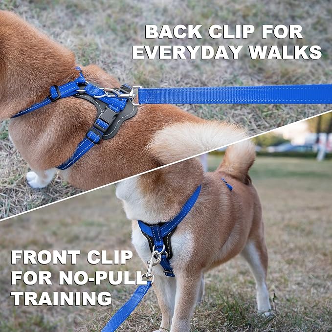 Plutus Pet Adjustable No Pull Dog Harness with Leather Accents, Heavy Duty Reflective Nylon Vest for Training, Hiking, Easy Walk Harness for Small, Medium, Large Dogs (Royal Blue, L)