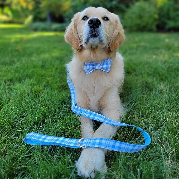 PETDURO Personalized Dog Collar Sky Blue Plaid for Large Medium Dogs | Engraved Name and Phone Number on Gold Metal Buckle for Boys & Girls | Add Leash & Bow Tie via Customize Now