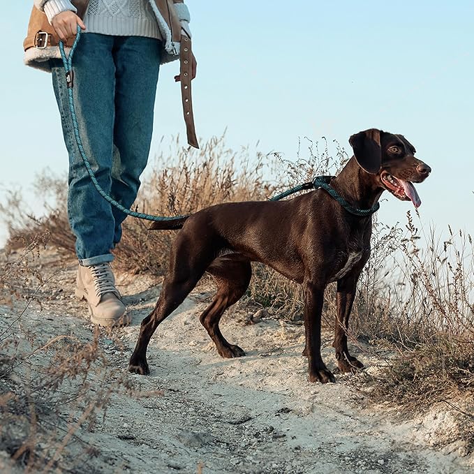 TwoEar Slip Leads for Dogs, 1/2" x 6FT Slip Leash for Large Dogs with Highly Reflective Threads, Comfortable Strong Rope Slip Leads, No Pull Pet Training Leash, Blue