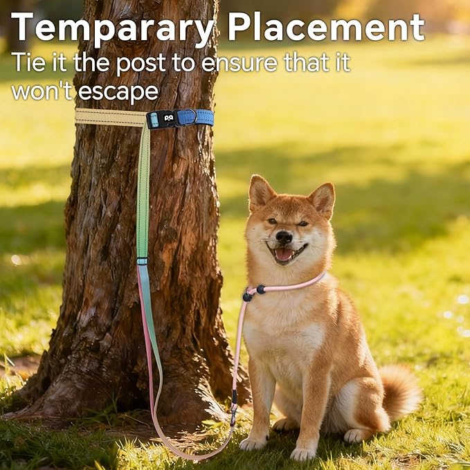 QQPETS Adjustable Slip Lead Dog Leash, Hands Free Waist Leash for Dog Walking, Reflective Training Lead with 360° Swivel Anti-Tangle, 4-7 ft Length for All Breeds