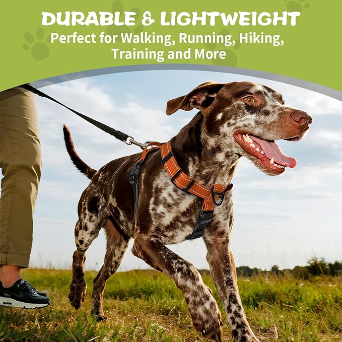 No-Pull Harness,Y-Shaped Design,Buckle-Neck Balance Harness with Reflective Stitching, Ideal for Dog Training and Night Walking, Padded Handle, Durable High-Tensile Nylon-Orange-M
