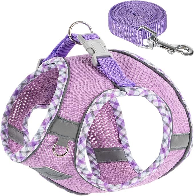 Dog Harness and Leash Set, No Pull Soft Breathable Adjustable Reflective Step In Vest Harness for Puppy, Kitten, Cats