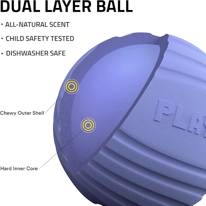 Playology Dog Toys | Dual Layer Ball Durable Chew Toy for Aggressive Chewers | Jumbo Blueberry Scented Toy - Easy to Clean and Made from Non Toxic Materials