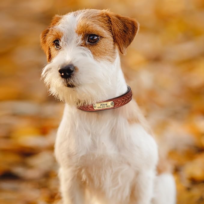 Personalized Dog Collars Custom Premium PU Leather Dog Collar with Name and Phone Number Engraved Name Plate for Medium Dogs Customized Customizable Adjustable Dog Collar, Brown,M(11-14")