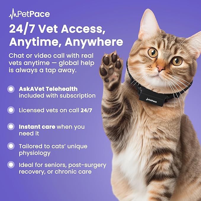New PetPace V3.0 Cat Health Monitor by PetPace – AI Health Collar with 24/7 Vital Signs Alerts, GPS, Telehealth Consults, AskaVet & Share with Your Vet & SmartWatch Sync – Subscription Required