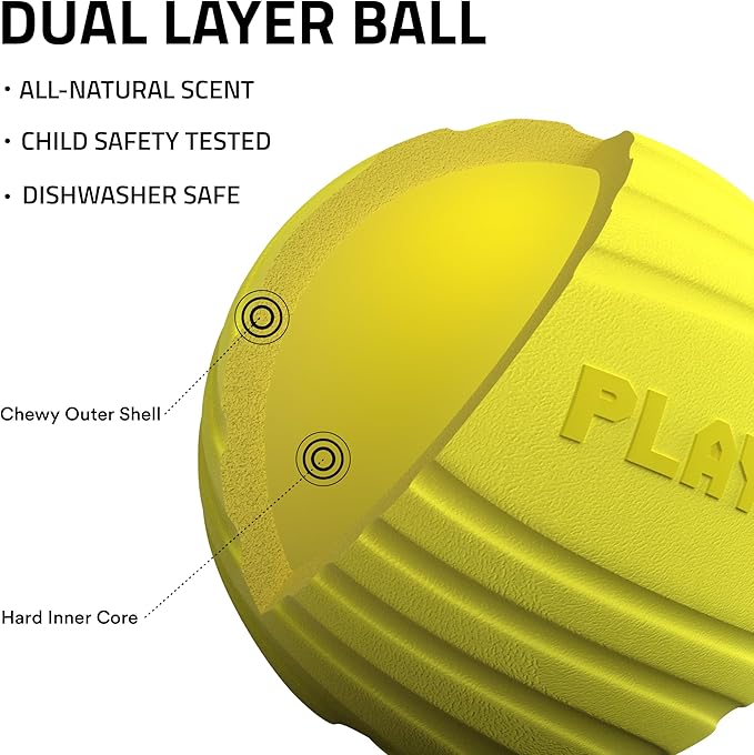 Playology Dog Toys | Dual Layer Ball Durable Chew Toy for Aggressive Chewers | Medium Chicken Scented Toy - Easy to Clean and Made from Non Toxic Materials