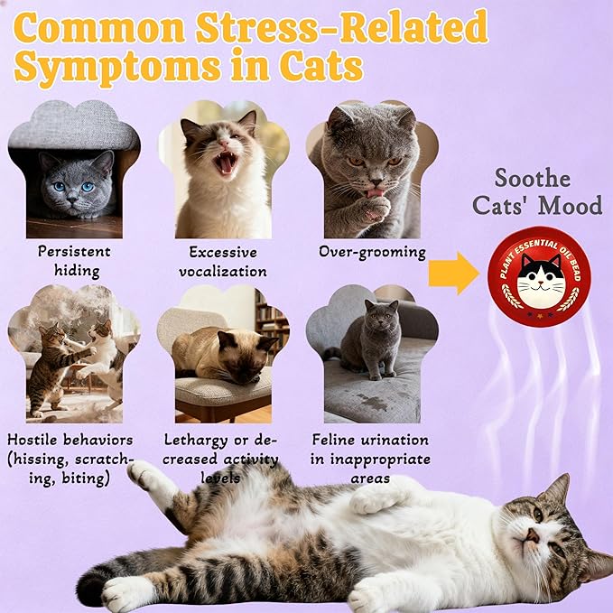 xcivi Pop Patch for Cat Calming Diffuser, Cat Anxiety Relief Stress Reduction, Cat Calming Pheromones Help Anxiety, Enhanced Calming, for Travel, Car & Home Use